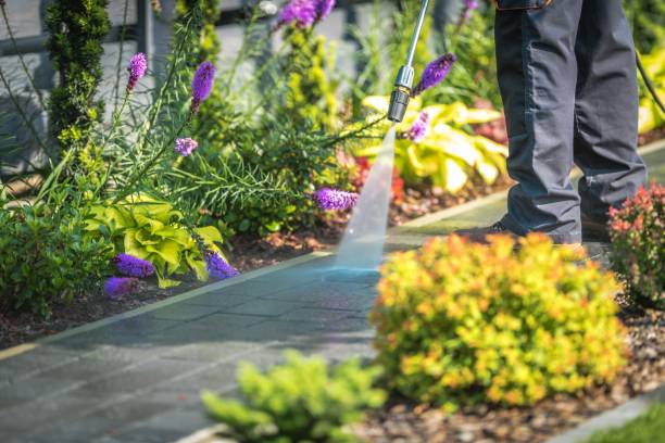Best Fence Cleaning  in Albany, CA
