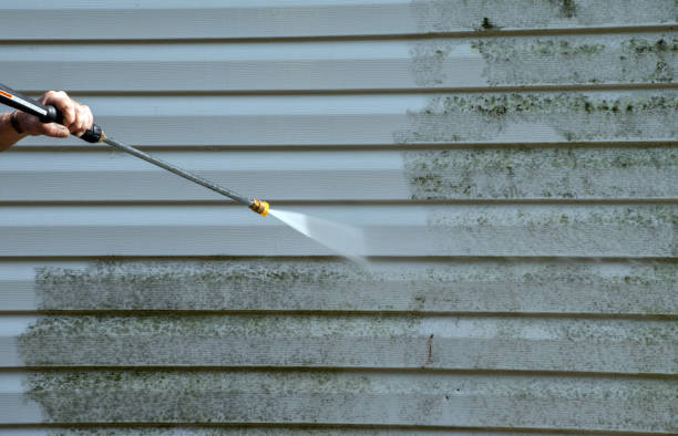 Best Building Exterior Washing  in Albany, CA